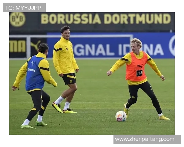 意甲精彩对决拜仁大胜多特蒙德战术解析与赛场瞬间回顾